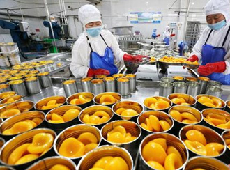 食品或饮料处理、包装、物流